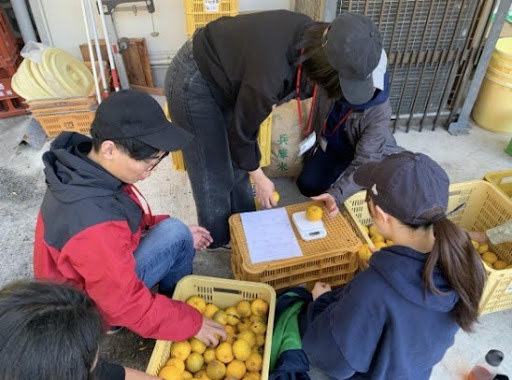 株式会社REGION PROTOCOL　「小河のゆずを、『感情』で届ける」